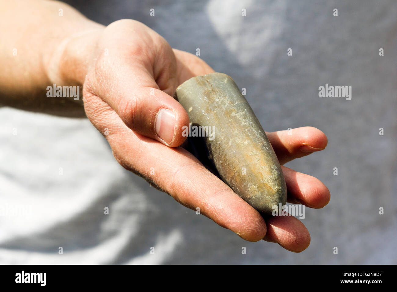 Mann, der Belemnit Fossil in seiner Hand hält Stockfoto