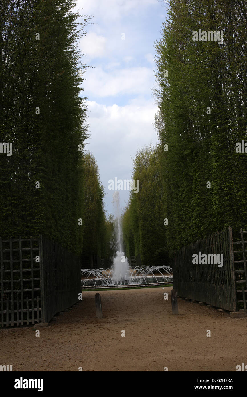 Statuen, Brunnen und Parterre Gärten des Palastes von Versailles