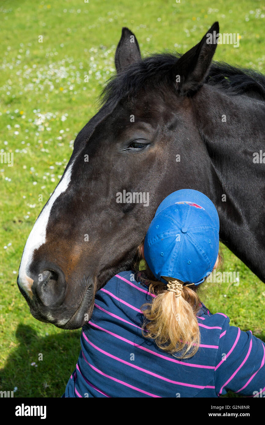 Eine Frau und ihr Pferd liegend in einer Sommerwiese. Die Frau zeigt Zuneigung zu ihrem verschlafenen Pferd. Stockfoto