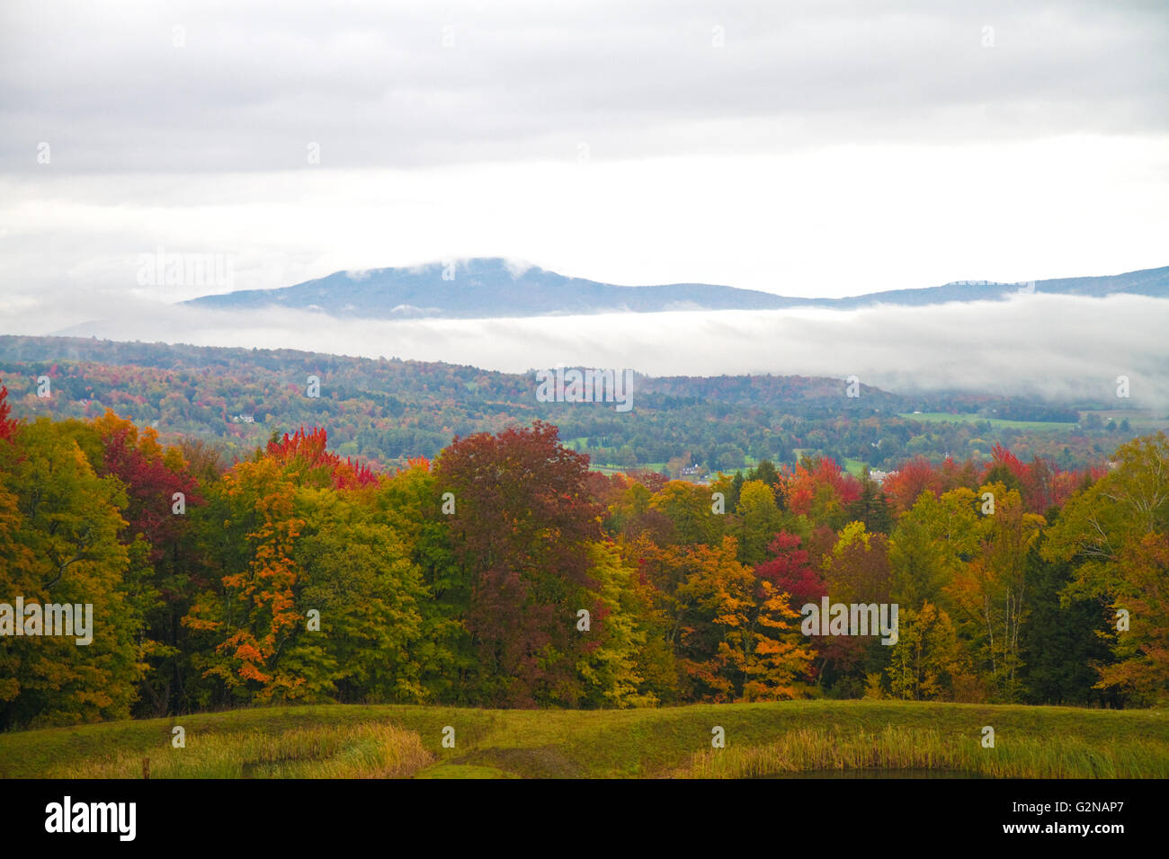 Herbstlaub an einem nebligen Morgen in der Nähe von Stowe, Vermont, USA. Stockfoto