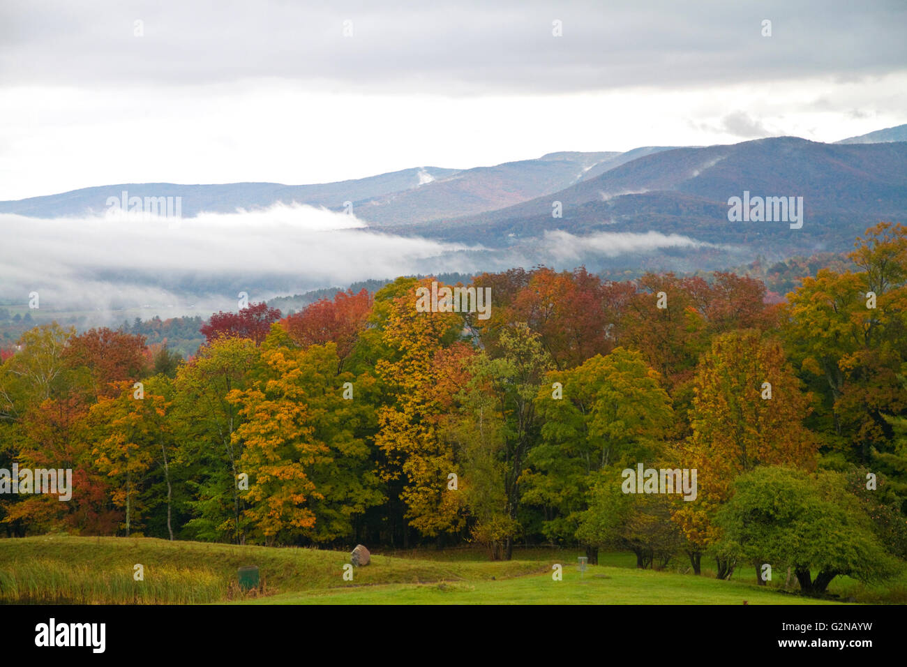 Herbstlaub an einem nebligen Morgen in der Nähe von Stowe, Vermont, USA. Stockfoto