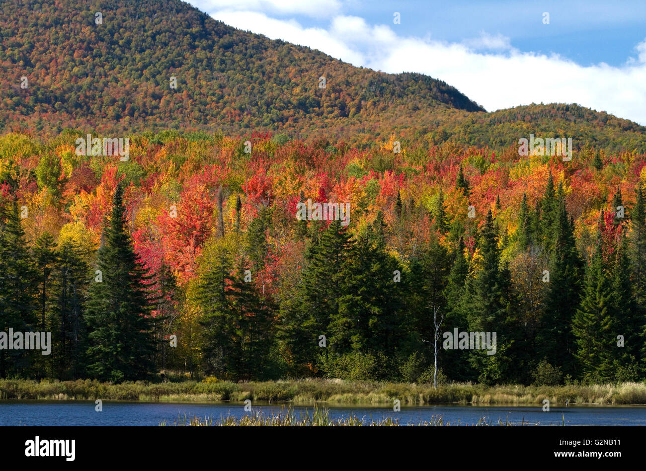 Herbstfarben am McAllister Teich in Orleans County, Vermont, USA. Stockfoto
