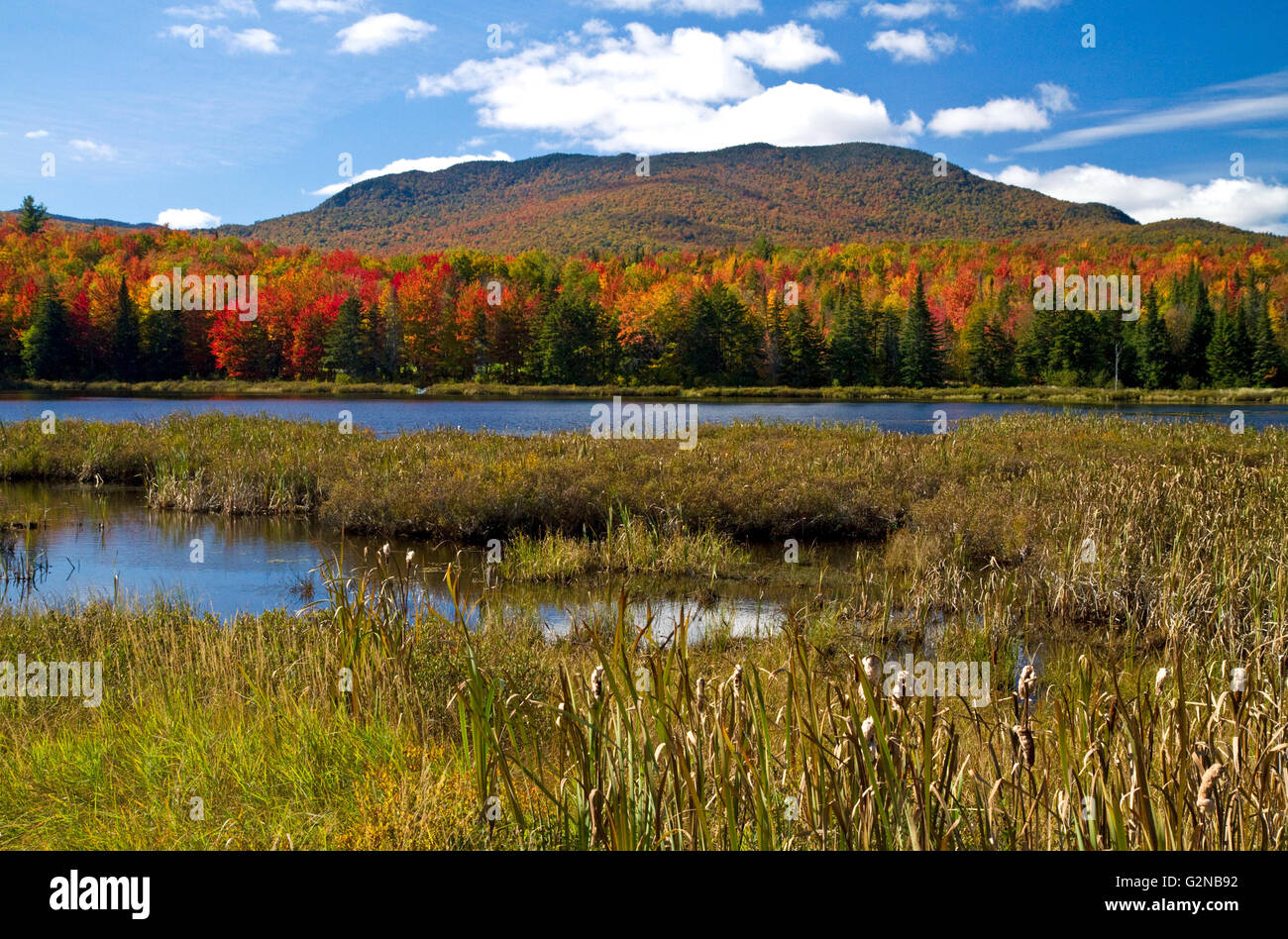 Herbstfarben am McAllister Teich in Orleans County, Vermont, USA. Stockfoto
