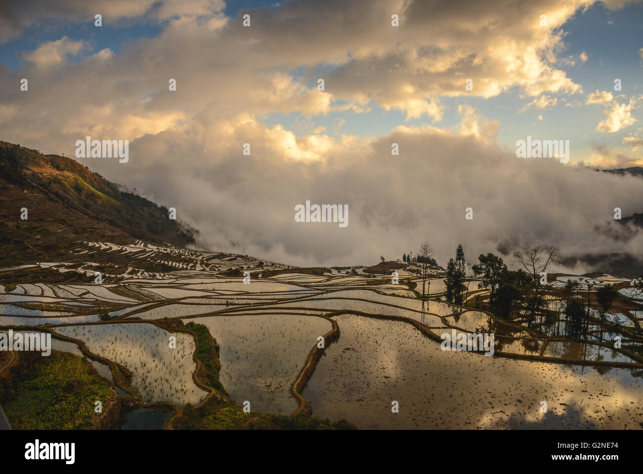 Duoyishu Reisterrassen bei Sonnenaufgang in Yuanyang, China Stockfoto
