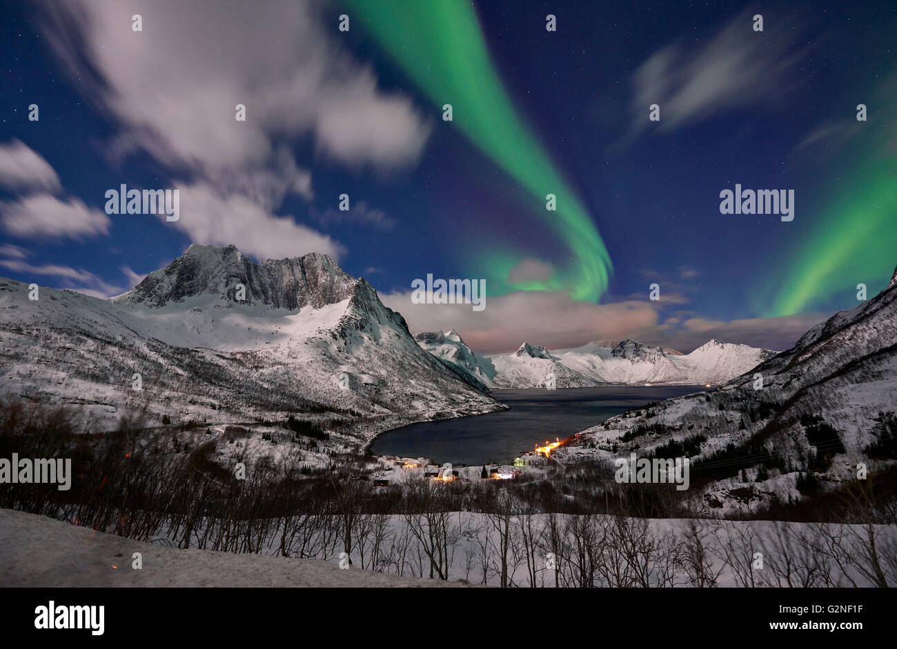 Aurora Borealis oder das Nordlicht über verschneite Winterlandschaft im Fjord von Mefjorden, Senja, Troms, Norwegen, Europa Stockfoto
