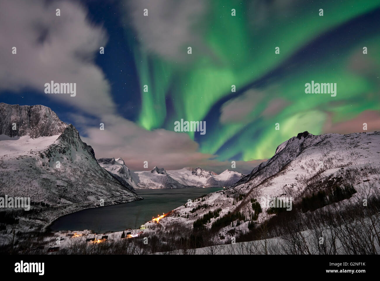 Aurora Borealis oder das Nordlicht über verschneite Winterlandschaft im Fjord von Mefjorden, Senja, Troms, Norwegen, Europa Stockfoto