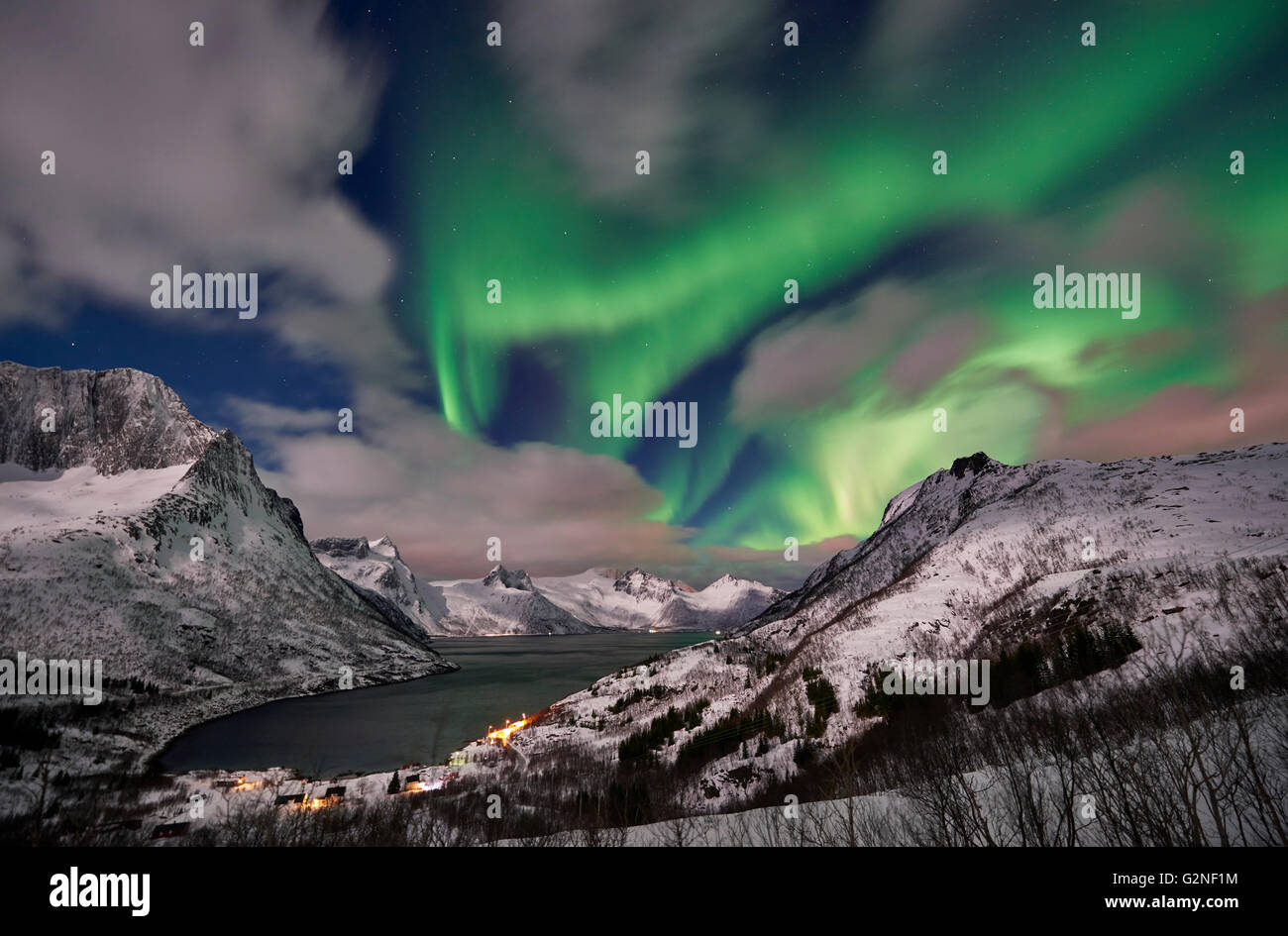 Aurora Borealis oder das Nordlicht über verschneite Winterlandschaft im Fjord von Mefjorden, Senja, Troms, Norwegen, Europa Stockfoto