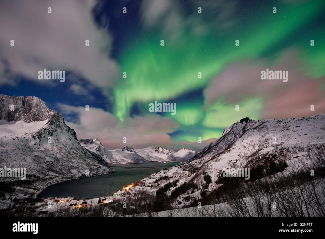Aurora Borealis oder das Nordlicht über verschneite Winterlandschaft im Fjord von Mefjorden, Senja, Troms, Norwegen, Europa Stockfoto