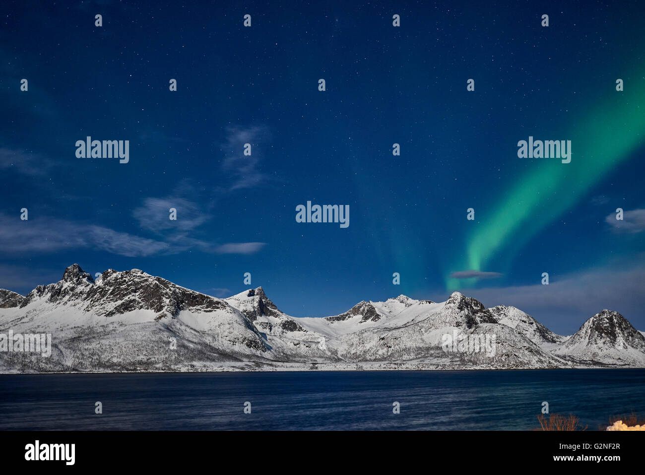 Aurora Borealis oder das Nordlicht über Winter Landschaft im Fjord Husøy ich Senja, Nachtaufnahme mit Mondlicht, Senja, Norwegen Stockfoto