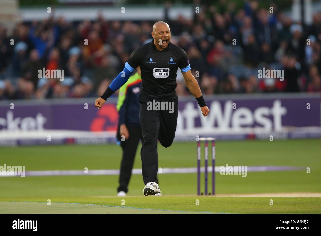 Sussex Tymal Mills feiert bowling Chris Gayle während der NatWest T20 Blast Spiel zwischen Sussex Haie und Somerset auf dem 1. zentrale County Ground in Hove. 1. Juni 2016. James Boardman / Tele Bilder + 44 7967 642437 Stockfoto