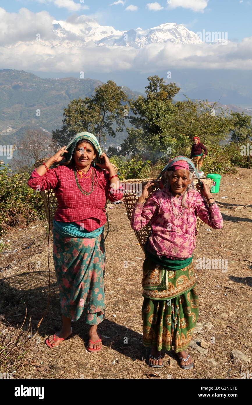 Zwei nepalesische Frauen tragen einen Korb auf dem Rücken in der Nähe von Pokhara, Nepal, das Himalaya-Gebirge im Hintergrund Stockfoto