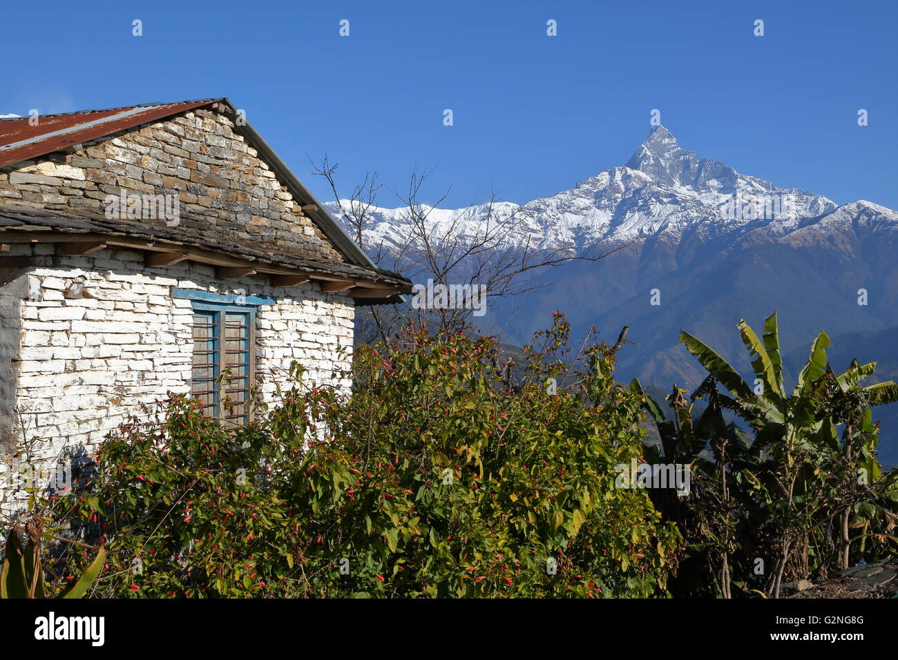 Traditionelles Haus in Dhampus Dorf mit Machapuchare Peak im Hintergrund, Annapurna Ausläufern, Pokhara, Nepal Stockfoto