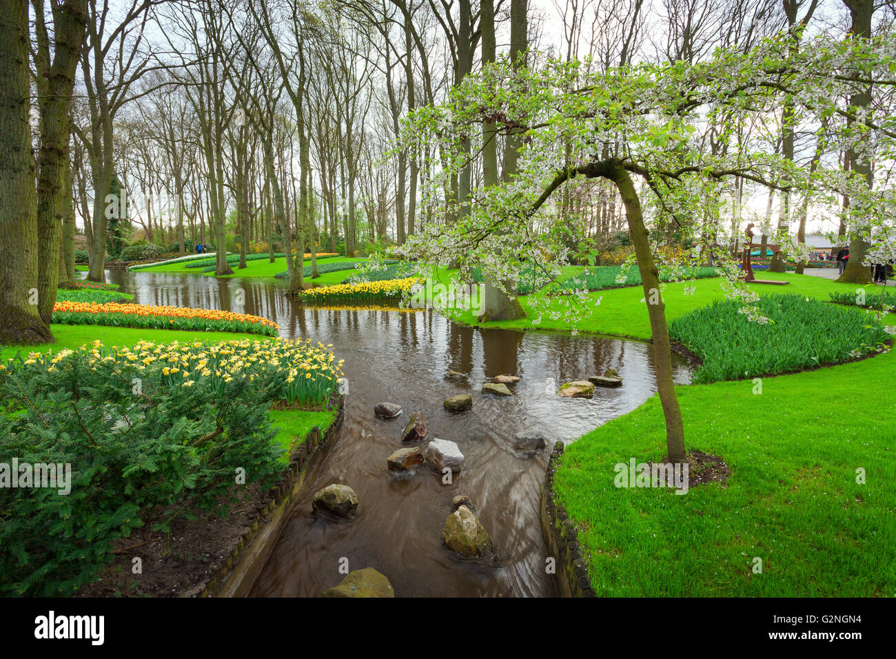 Landschaft mit blühenden Baum, schönen Blumen und Wasserstrom in weltberühmten Keukenhof-Park in Niederlande. Frühlingsgarten. Natur Stockfoto