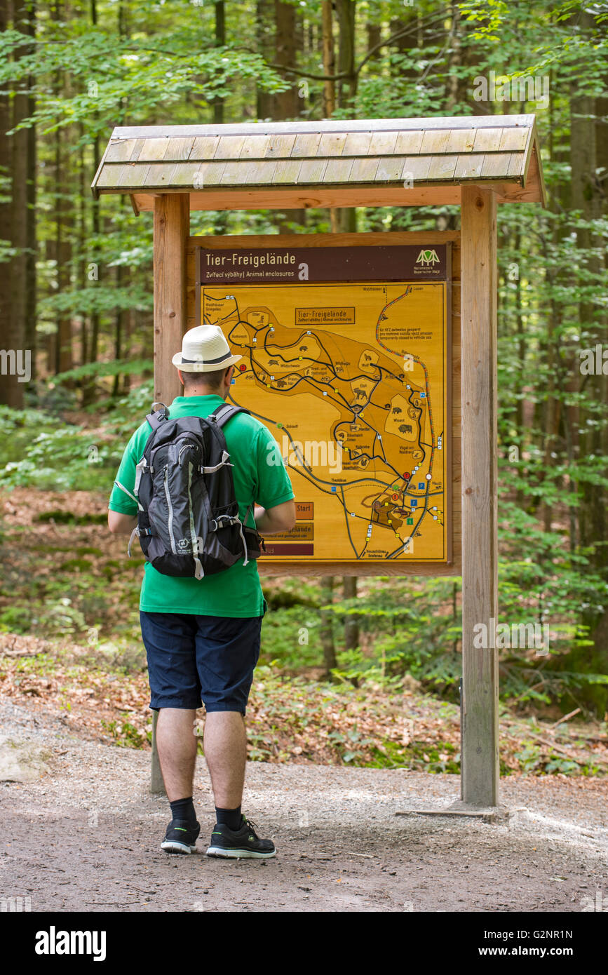 Besucher lesen Informationstafel mit Karte in das Tierfreigelände, Open-Air-Tierpark im Bayerischen Wald NP, Deutschland Stockfoto