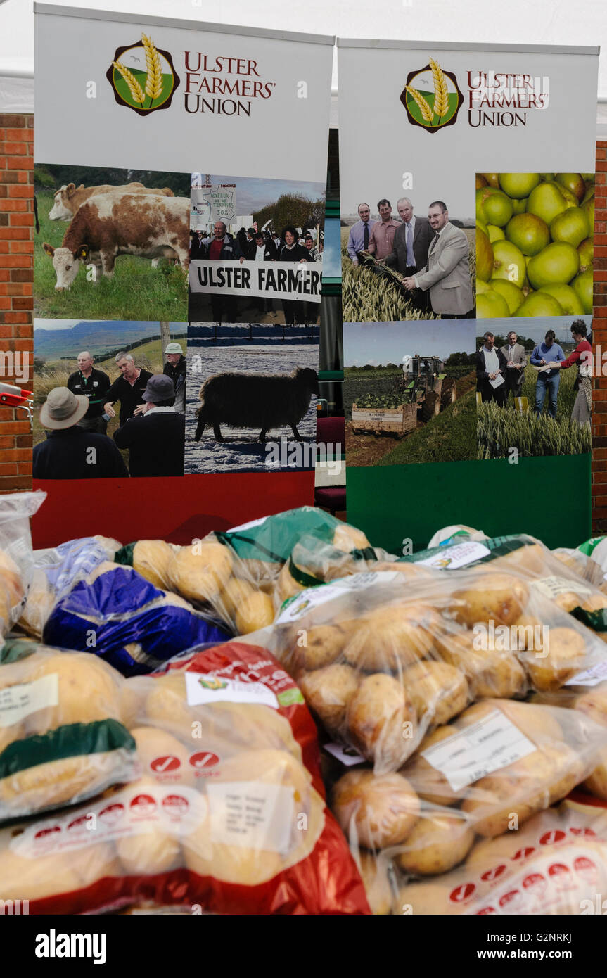 Belfast, 26.07.2012 - Kartoffeln auf Verkauf für 23 p für 2,5 kg statt der Supermarkt-Preis von £1,69.  Ulster Farmers Union Protest gegen Supermarkt Preise durch den Verkauf von Produkten an die Öffentlichkeit zu ihrem Farmgate Preis. Stockfoto