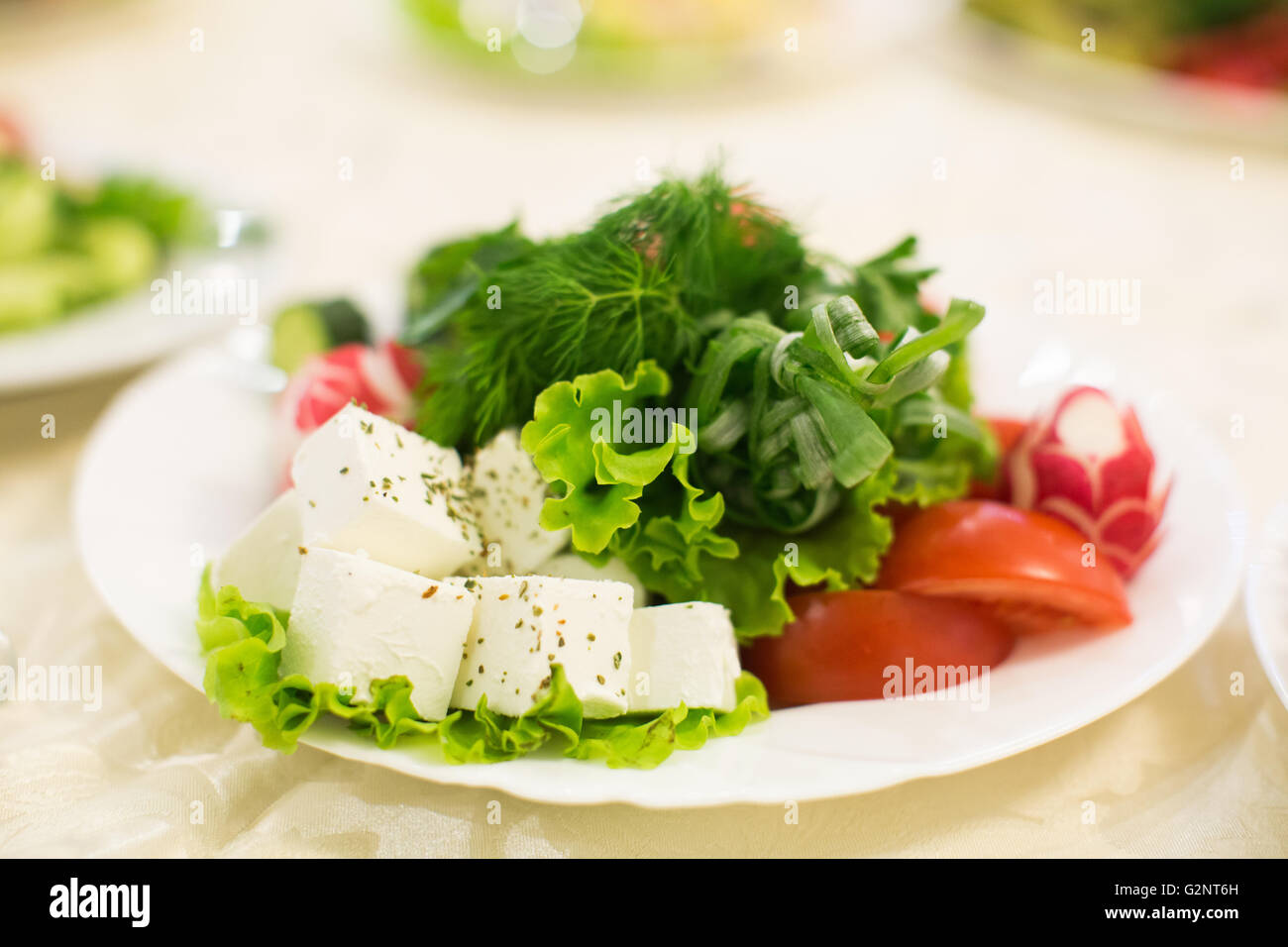 Gesunden grünen Salat, Tomaten, Petersilie, Radieschen, Gurken Stockfoto