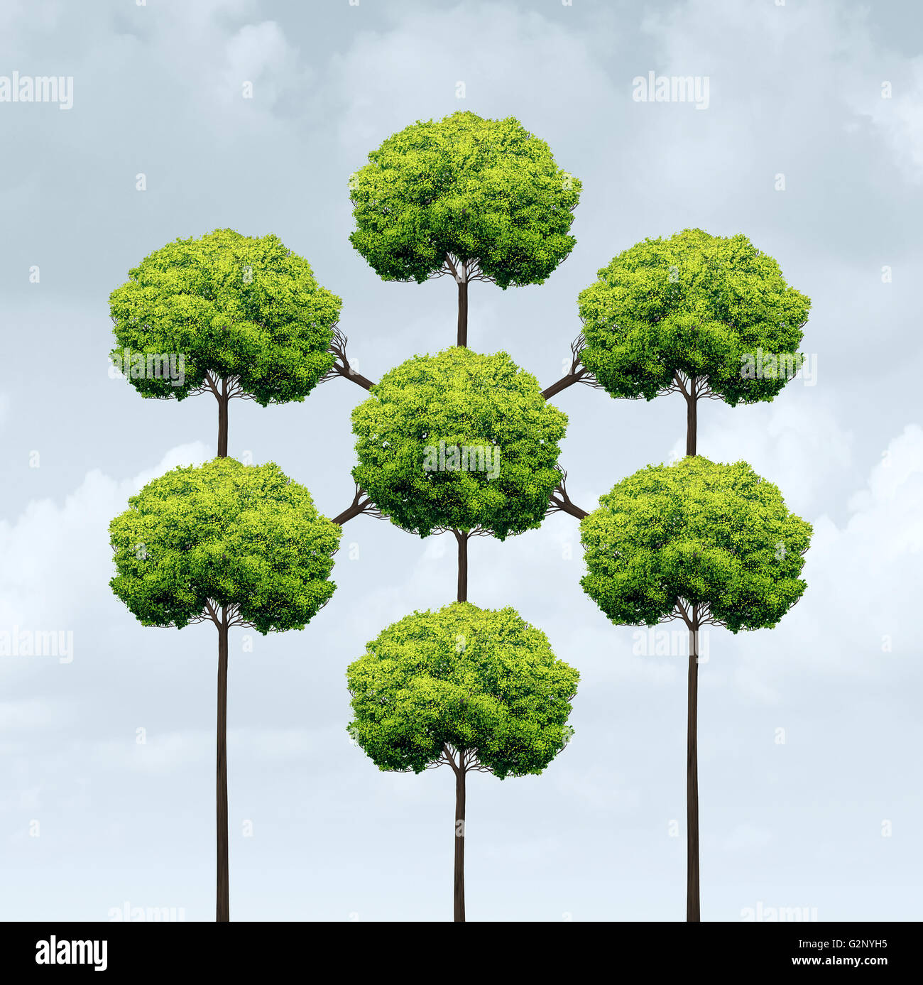 Konzept der Vernetzung oder soziales Netzwerk Symbol und Wachstum verbunden System im Web und Internet als eine Gruppe von Bäumen verknüpften Togerher in einer 3D Darstellung Stil. Stockfoto