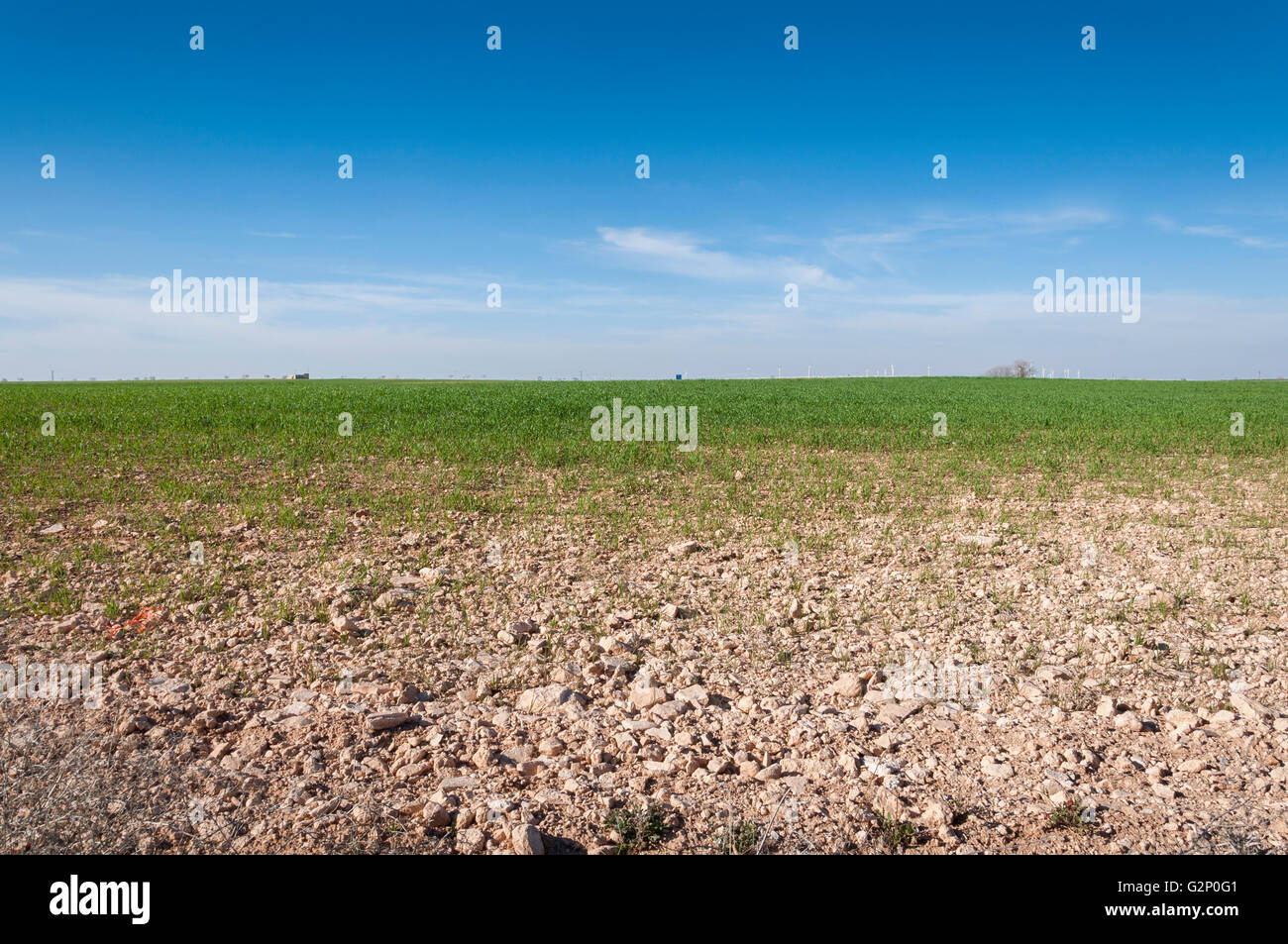 Gerstenfeldern in einem System von Trockengebieten Landwirtschaft. Fotografieren in der Provinz Toledo, Spanien Stockfoto