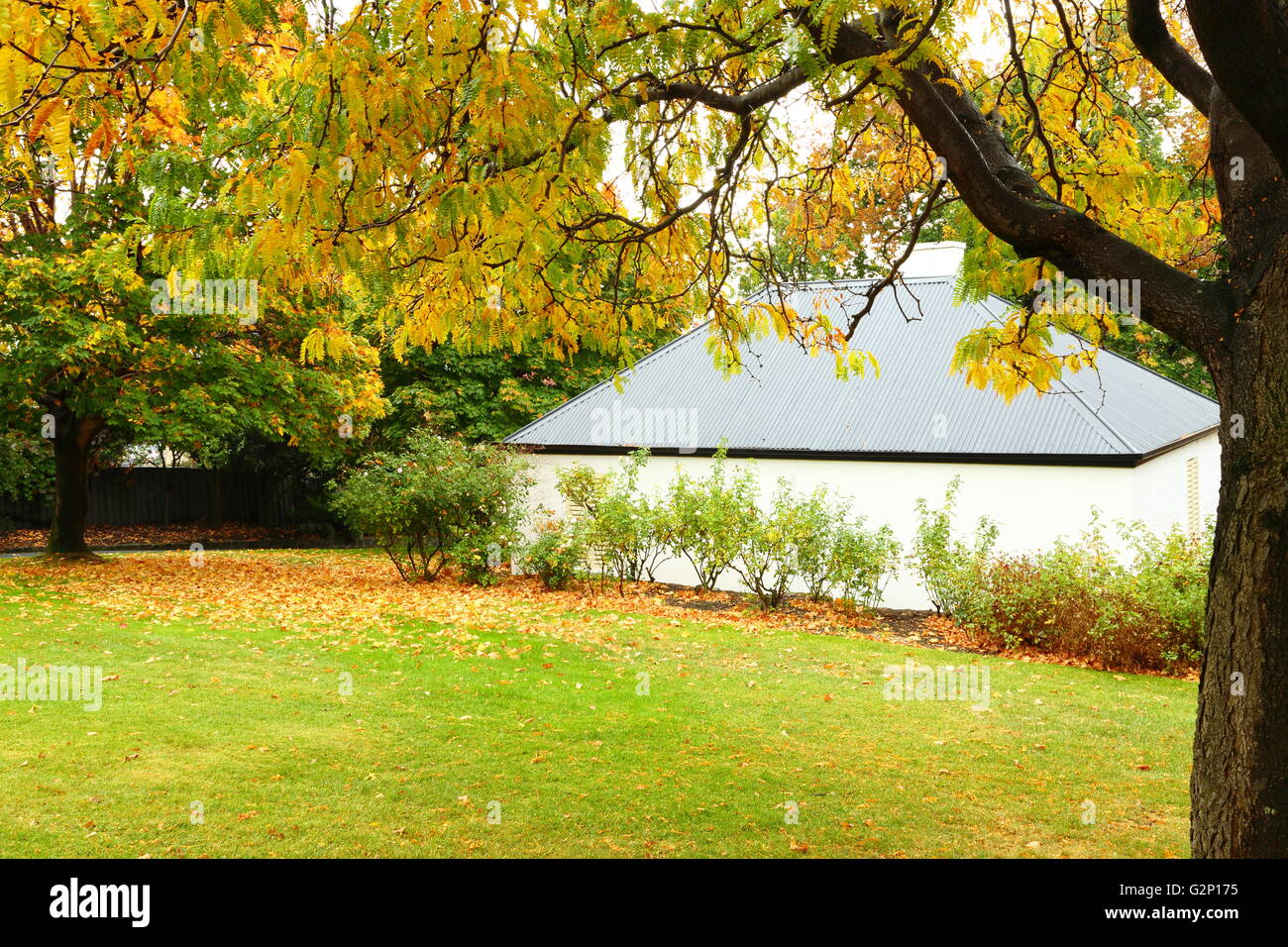 Herbstlaub und der Stellwerkswärter Cottage in Princes Park, Hobart, Tasmanien, Australien. Stockfoto