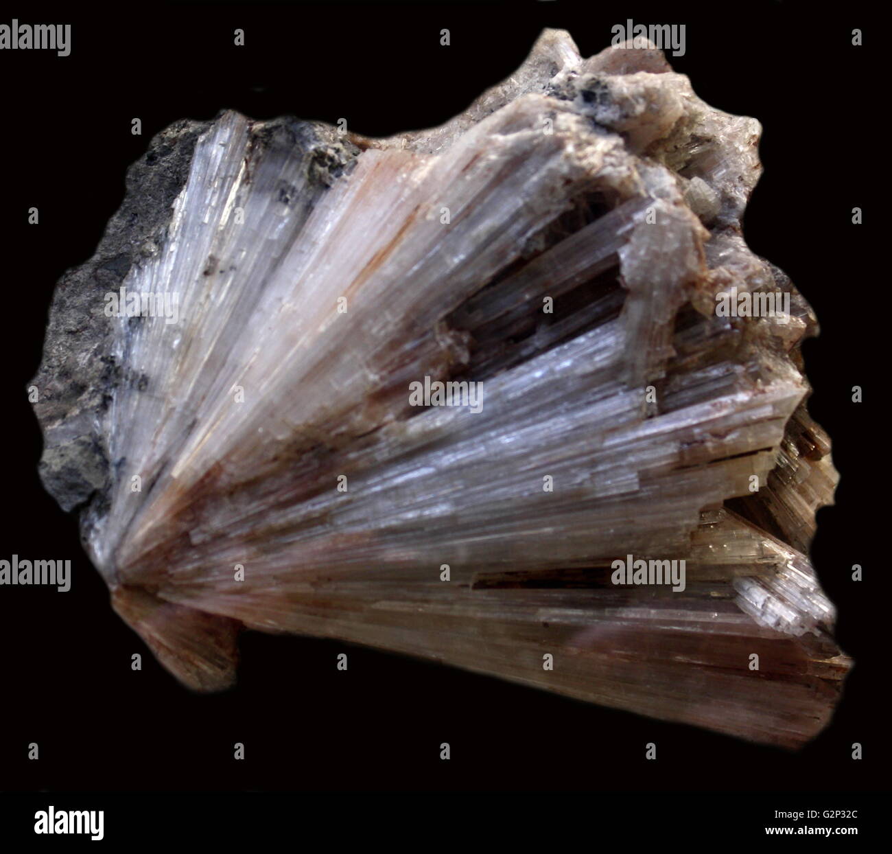 Thomsonite Kristalle. Ein tecto-Silikat mineral Serie aus dem Zeolith Gruppe. Jeder gruppierte Crystal ist lang und Blade, mit dem Effekt der strahlenden Prismen. Stockfoto
