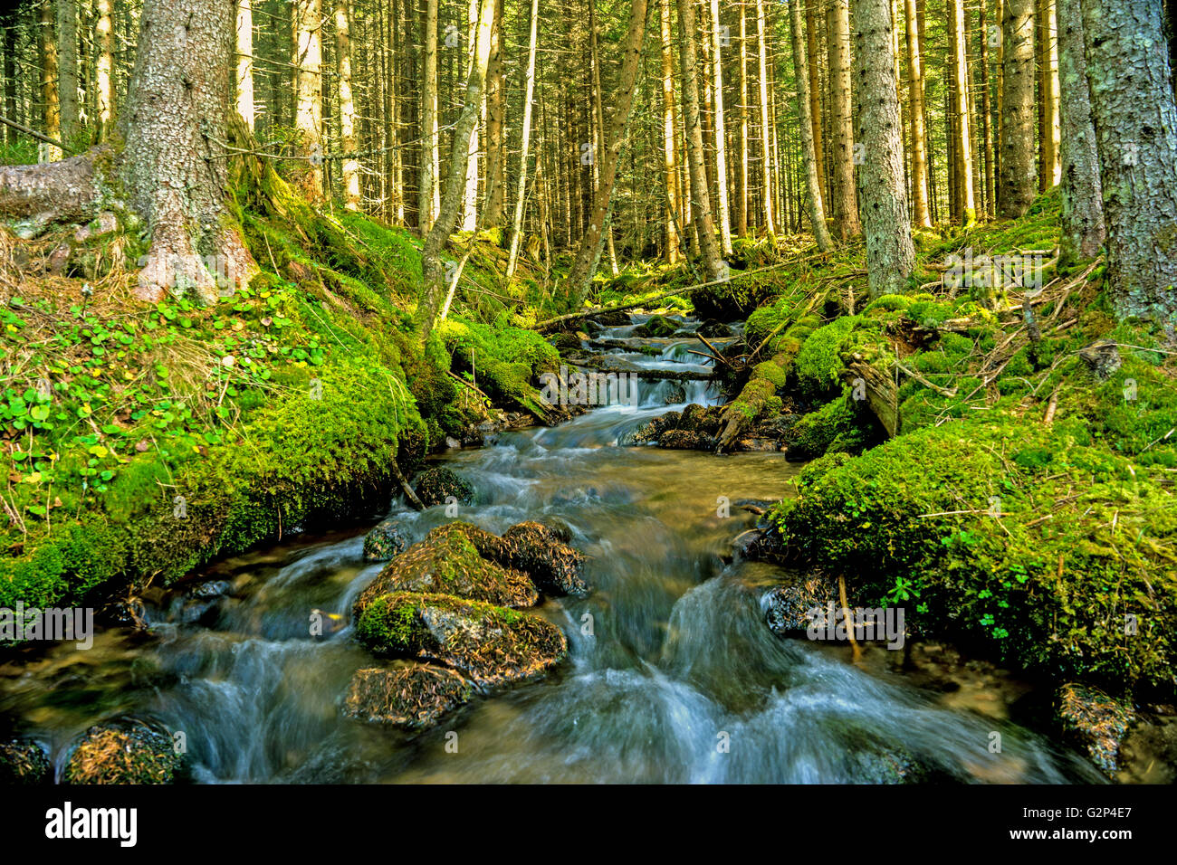 Little Creek Stockfoto