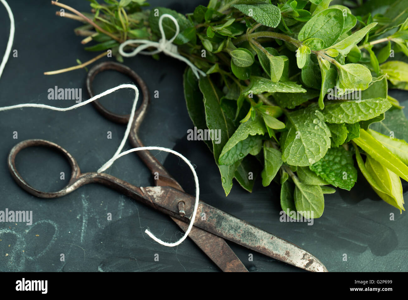 Thymian, Salbei und Rosmarin mit Lorbeer gebündelt mit Baumwolle String und alten rostigen Schere auf Schiefer Stockfoto