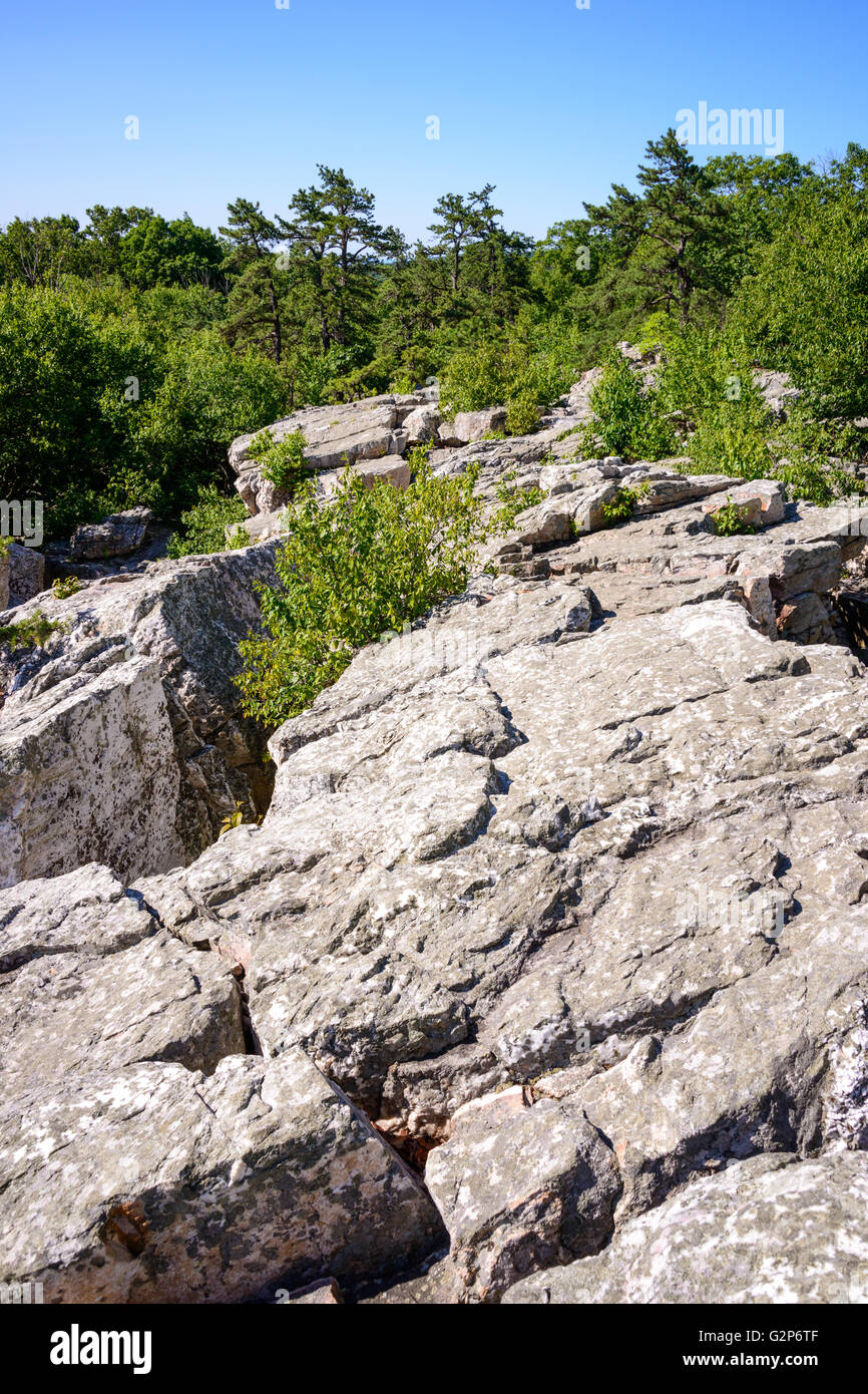 Catoctin Mountain Park Stockfoto