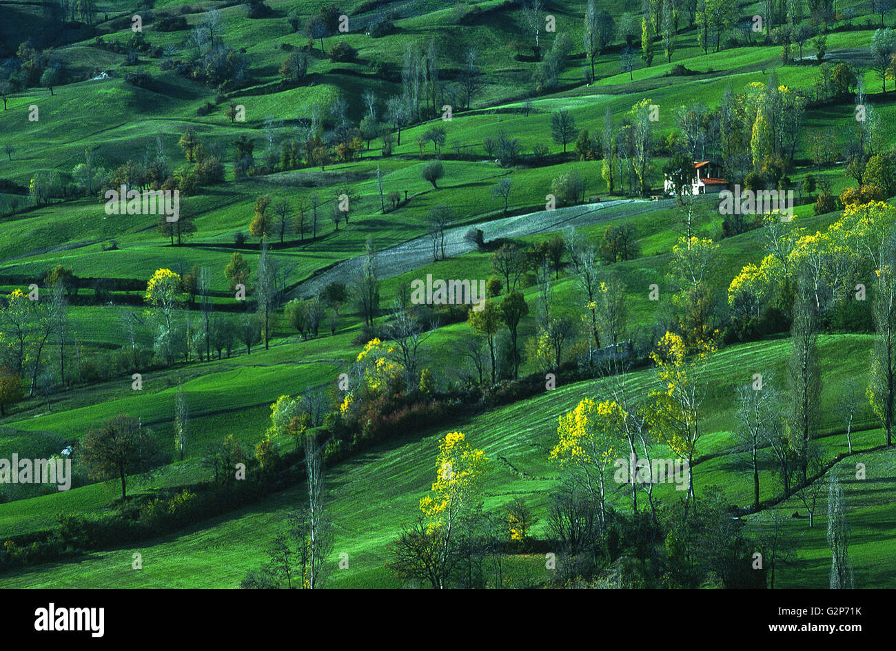 Landschaft des Val di Parma, Parma Fluß, Emilia Romagna, Italien Stockfoto