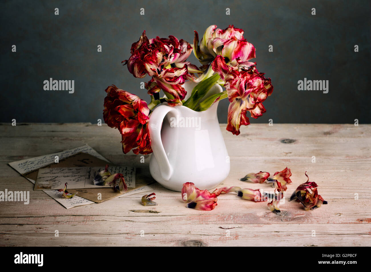 Stillleben mit rote Tulpe Blumen in Porzellan Dose Stockfoto