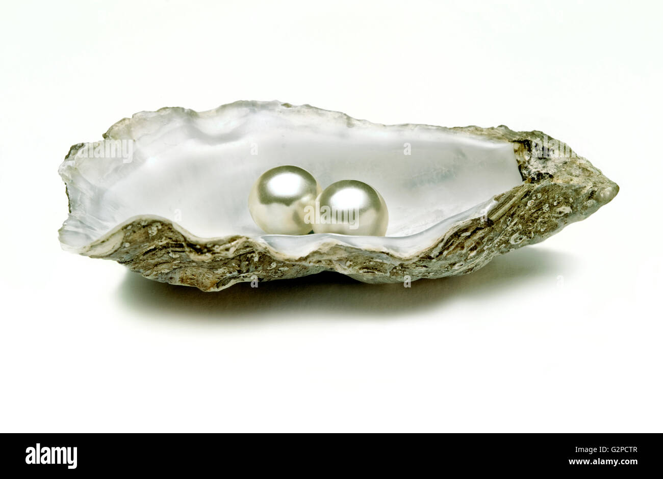 AUSTERNSCHALE MIT 2 PERLEN Stockfoto