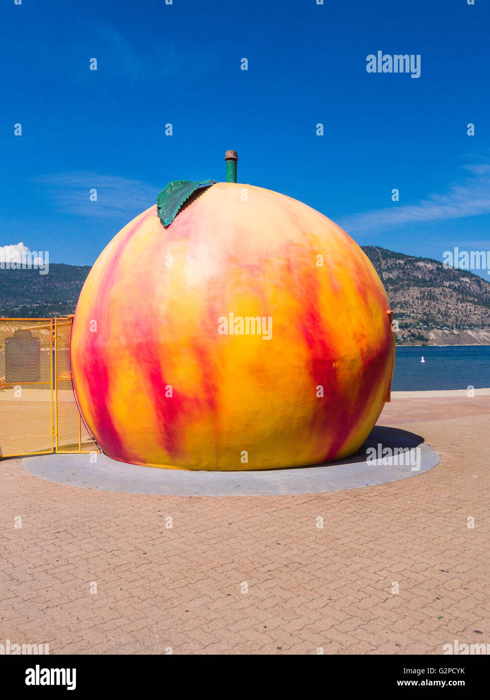 Giant peach -Fotos und -Bildmaterial in hoher Auflösung – Alamy