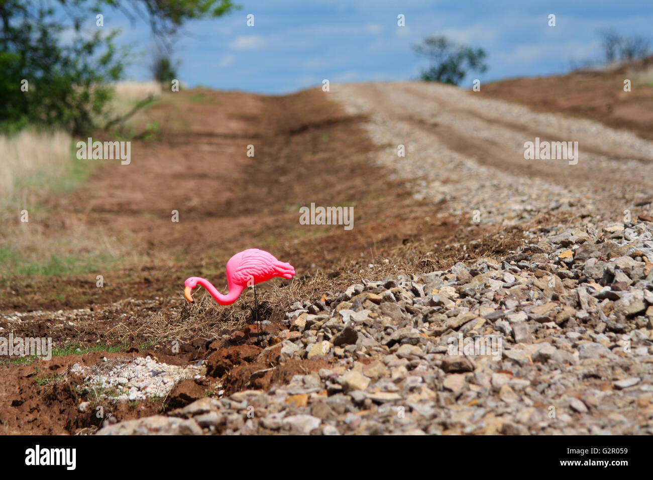 Rosa Flamingo Stockfoto
