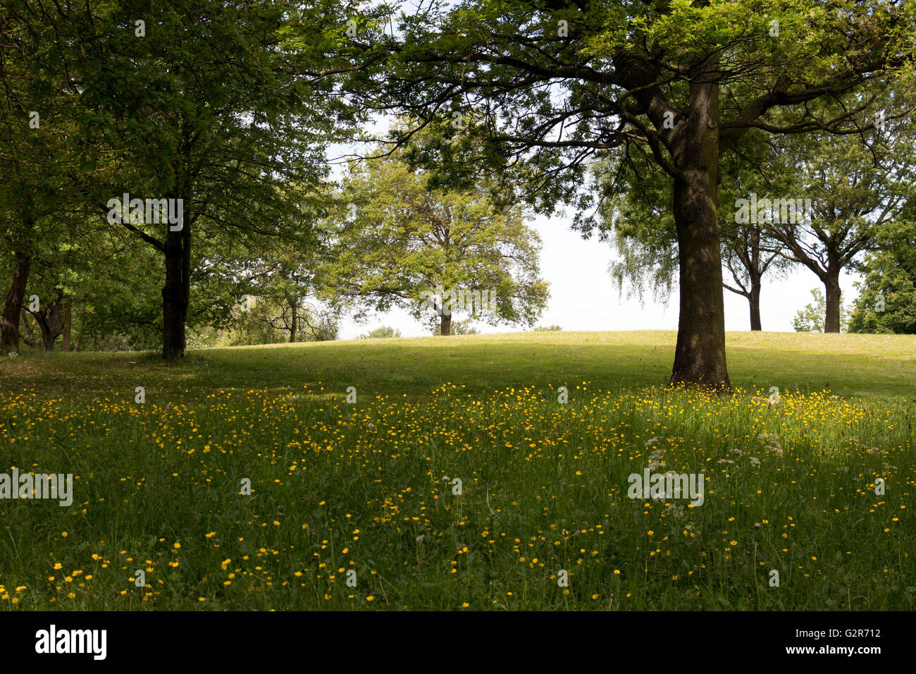 Great Kings Street Park, Newtown, Birmingham, Großbritannien Stockfoto