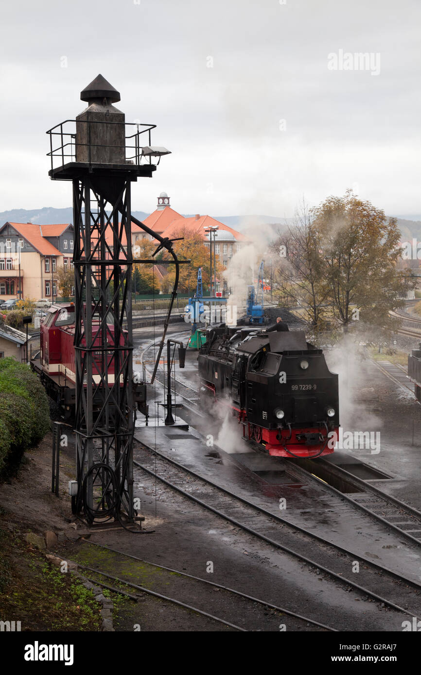 Dampflok von der Harzer Schmalspurbahnen, Brockenbahn in der Station, Harz, Wernigerode, Sachsen-Anhalt, Deutschland Stockfoto
