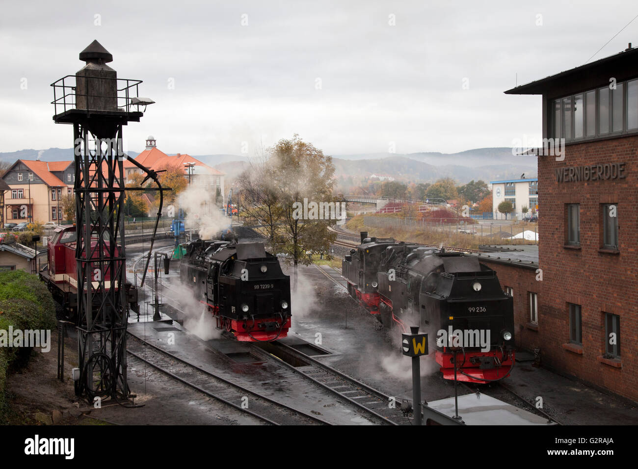 Dampflok von der Harzer Schmalspurbahnen, Brockenbahn in der Station, Harz, Wernigerode, Sachsen-Anhalt, Deutschland Stockfoto