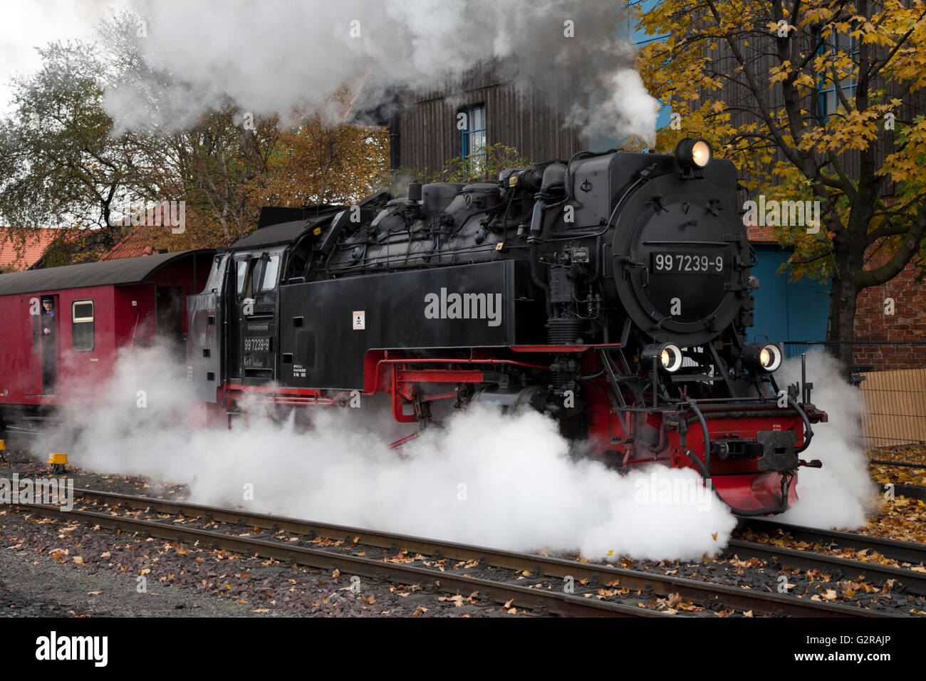 Dampflok der Harzer Schmalspurbahnen, Brockenbahn, Harz, Wernigerode, Sachsen-Anhalt, Deutschland Stockfoto
