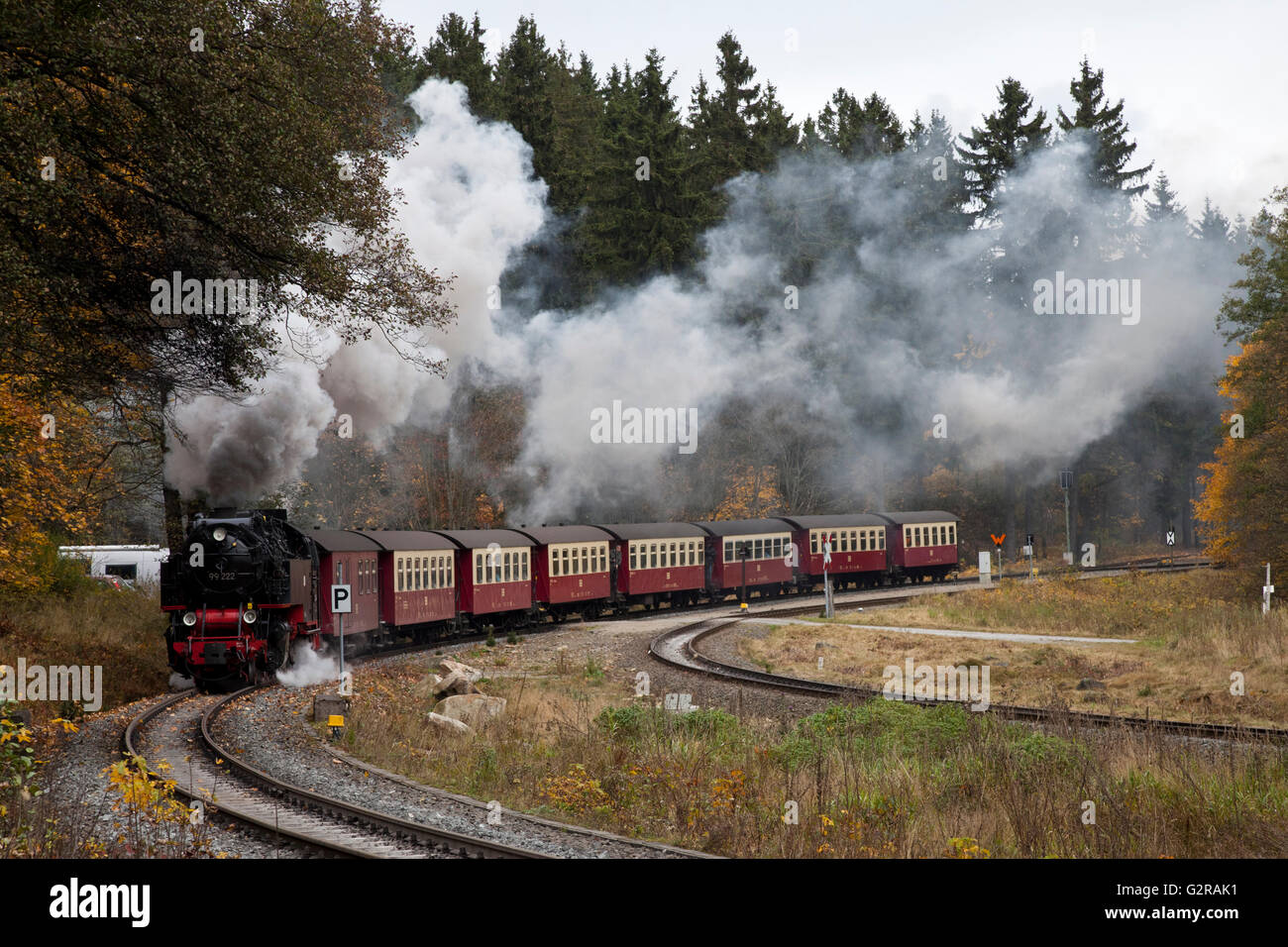 Dampf-Lokomotive und Zug der Harzer Schmalspurbahnen auf dem Weg zum Berg Brocken, Harz, Wernigerode, Sachsen-Anhalt Stockfoto
