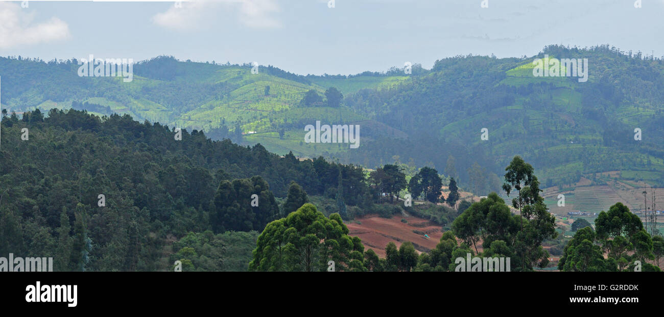 Ooty (Udhagamandalam) Stockfoto