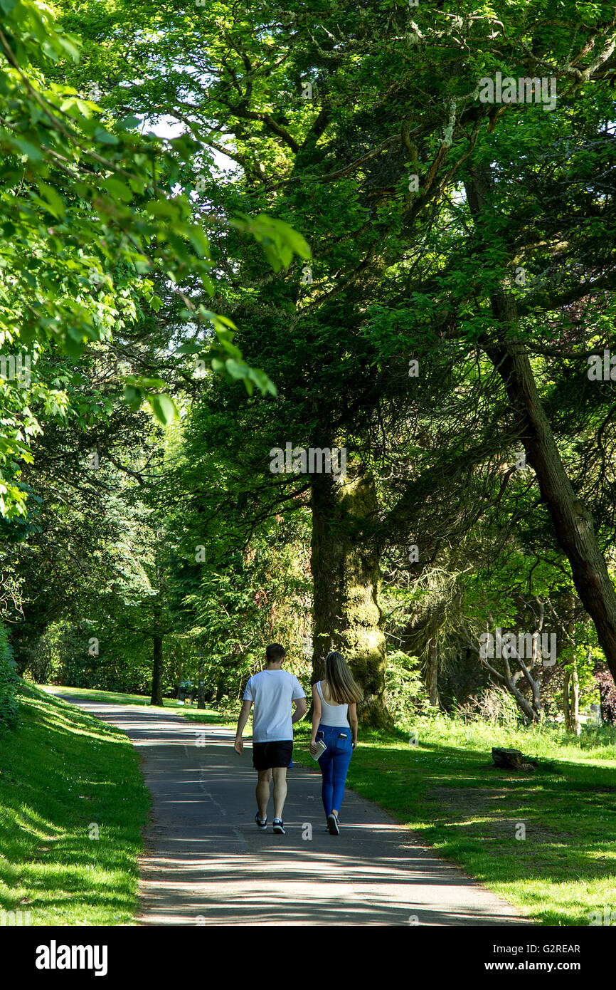 Junge Liebe - ein Spaziergang im Park. Stockfoto