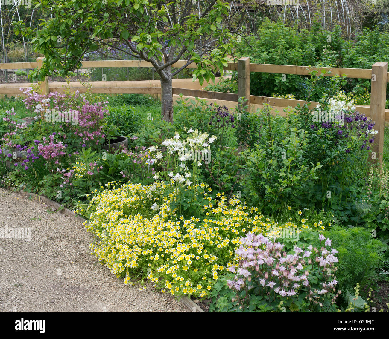 Ryton Bio-Garten im Frühling. Warwickshire, England Stockfoto