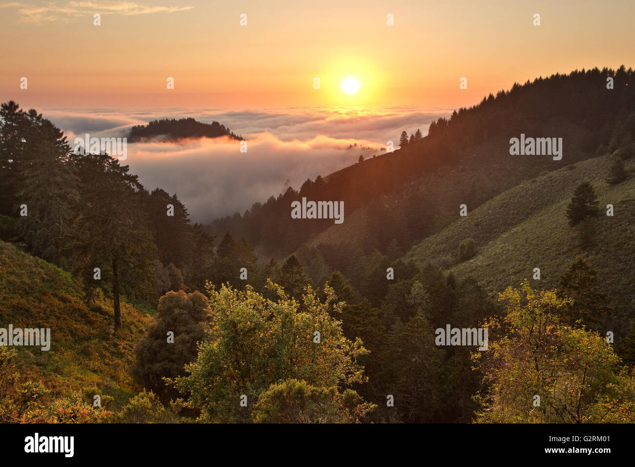 Dichter Nebel rollt über dem Pazifischen Ozean bei Sonnenuntergang über California Küstengebirge Stockfoto