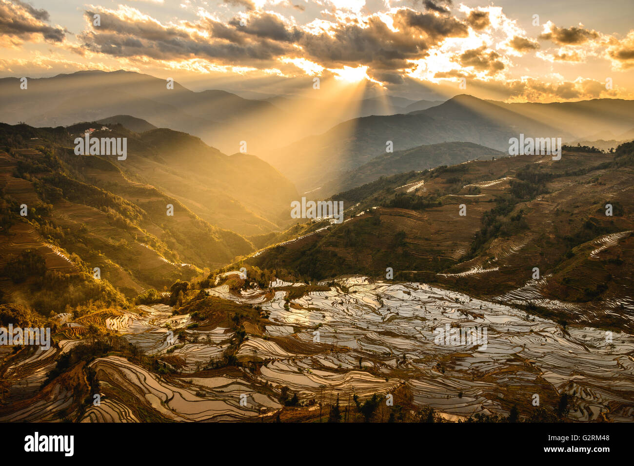 Sonnenuntergang über den Tiger Mund Reis Felder in Yuanyang Stockfoto
