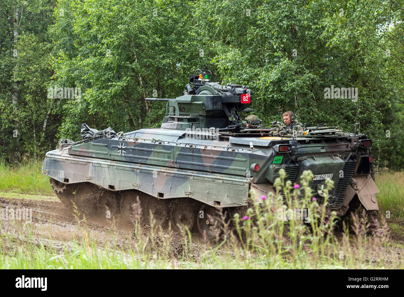 Gardelegen, Deutschland, Angriff Panzer Grenadiere UEBT auf dem Truppenübungsplatz Altmark Stockfoto