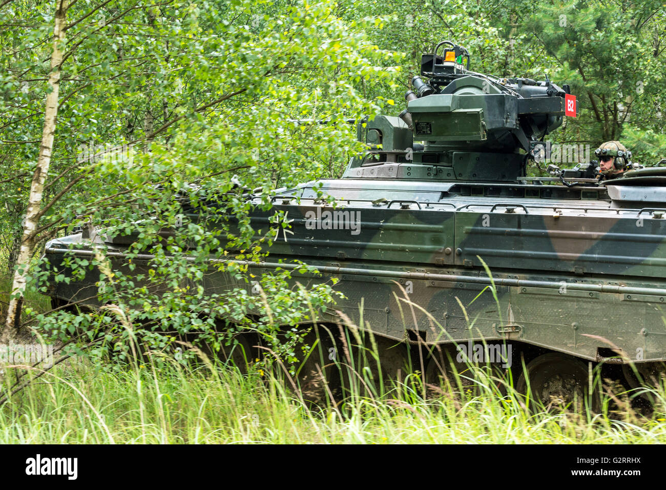Gardelegen, Deutschland, Angriff Panzer Grenadiere UEBT auf dem Truppenübungsplatz Altmark Stockfoto
