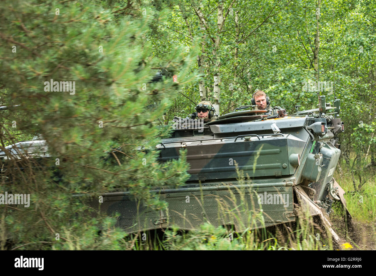 Gardelegen, Deutschland, Angriff Panzer Grenadiere UEBT auf dem Truppenübungsplatz Altmark Stockfoto