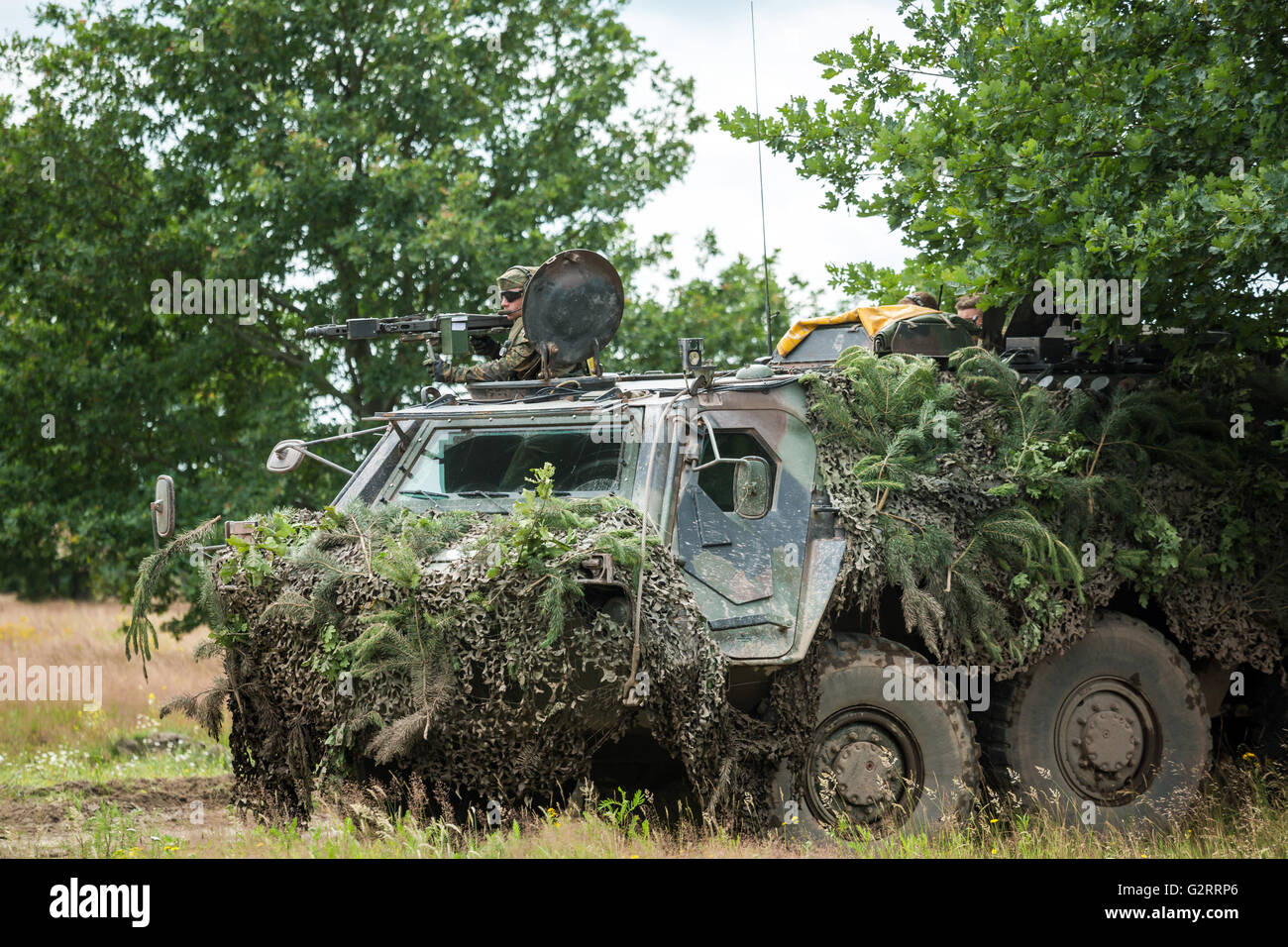 Gardelegen, Deutschland, Angriff Panzer Grenadiere UEBT auf dem Truppenübungsplatz Altmark Stockfoto