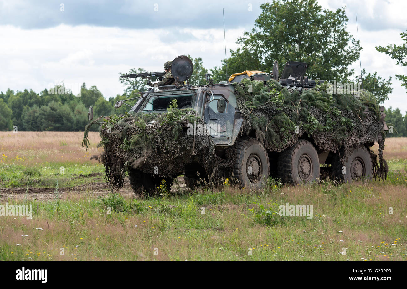 Gardelegen, Deutschland, Angriff Panzer Grenadiere UEBT auf dem Truppenübungsplatz Altmark Stockfoto