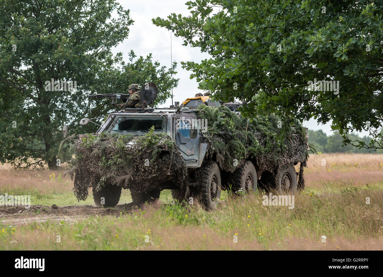 Gardelegen, Deutschland, Angriff Panzer Grenadiere UEBT auf dem Truppenübungsplatz Altmark Stockfoto