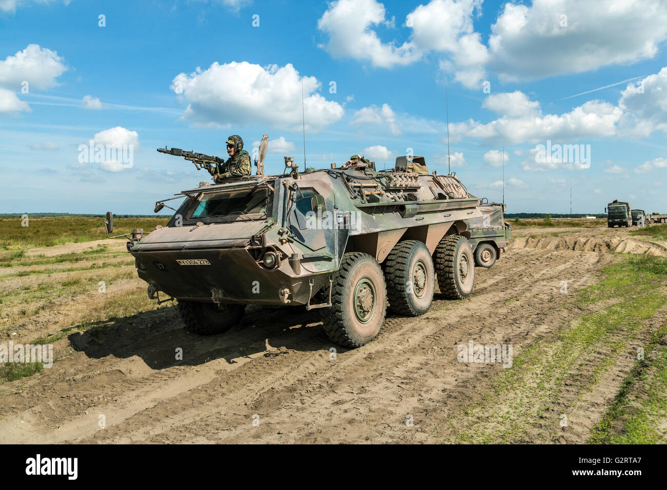 Gardelegen, Deutschland, Truppenübungsplatz Altmark in der Heide Colbitz-Letzlingen Stockfoto