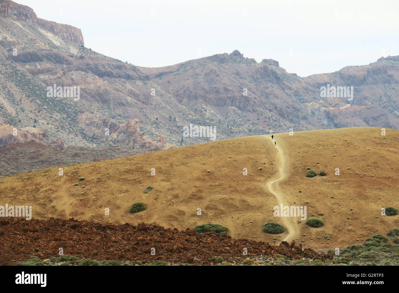 Die Caldera von Las Cañadas, Teide-Nationalpark entstand, als ein riesiger Vulkan ins Meer stürzte. Mount Teide später gebildet. Stockfoto
